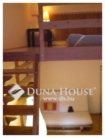 Budapest 7. ker., Damjanich utca