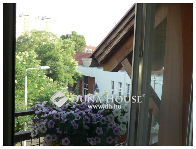 Gyöngyszem Kispest szívében